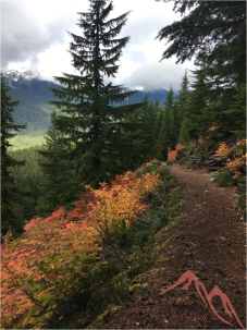 Fall hike ~ Mt. Rainier National Park